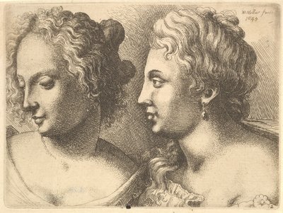 Cabezas de dos mujeres jóvenes, 1645 de Wenceslaus Hollar
