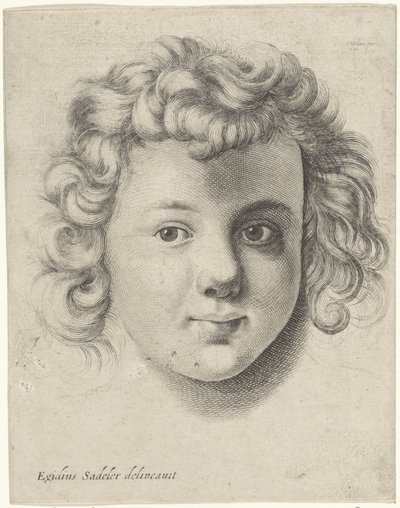 cabeza de un niño de Wenceslaus Hollar