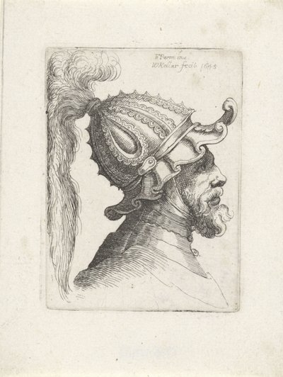 Cabeza de hombre con casco emplumado Cabezas con cascos a Parmigianino (título de la serie) de Wenceslaus Hollar