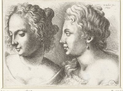 Cabezas de dos mujeres jóvenes Varie figurae et probae (título de la serie) Caricaturas, cabezas y deformidades después de Leonardo da Vinci (título de la serie) de Wenceslaus Hollar