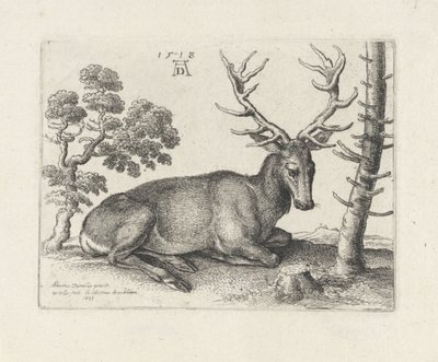 Ciervo reclinado, a la derecha de Wenceslaus Hollar
