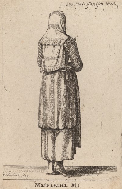 Matrisana M., 1648 de Wenceslaus Hollar