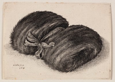 Manopla de piel oscura con una cinta en forma de lazo de Wenceslaus Hollar
