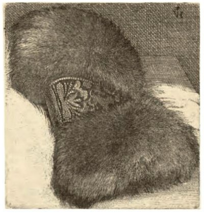 Manga con banda de brocado de Wenceslaus Hollar