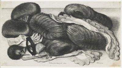 Mangas y artículos de ropa en una mesa, 1647 de Wenceslaus Hollar
