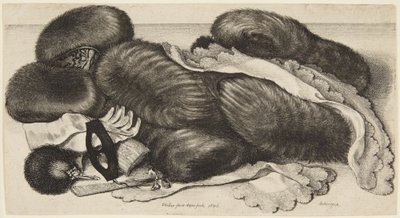  de Wenceslaus Hollar