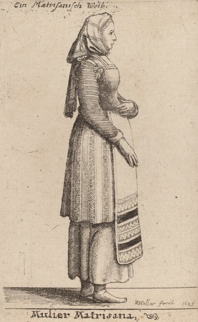 Mulier Matrisana, 1649 de Wenceslaus Hollar