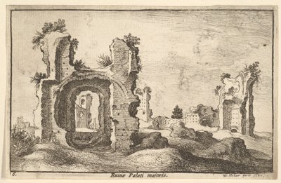 Palacio Palatino, Roma, 1650 de Wenceslaus Hollar