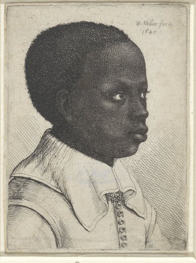 Retrato de un niño negro, 1645 de Wenceslaus Hollar