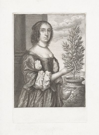 retrato, de, un, mujer estar de pie, al lado de, un, laurel, planta de Wenceslaus Hollar