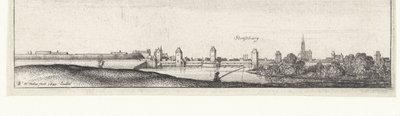Paisaje fluvial con vistas a Estrasburgo River Views en Alemania y los Países Bajos (título de la serie) de Wenceslaus Hollar