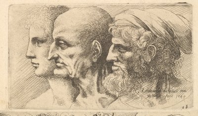 Fila de tres cabezas de perfil hacia la izquierda de Wenceslaus Hollar