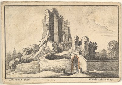 Ruinas y una puerta con barrotes en la colina Esquilina en Roma, 1673 de Wenceslaus Hollar