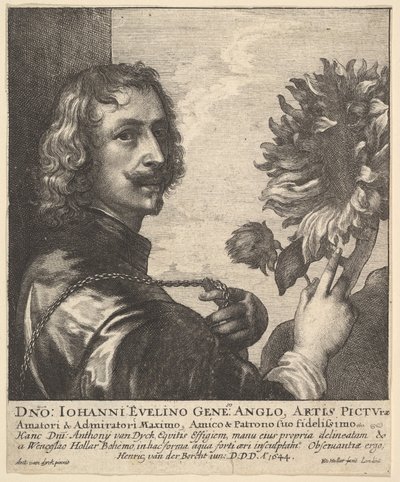 Sir Anthony van Dyck con un girasol, 1644 de Wenceslaus Hollar