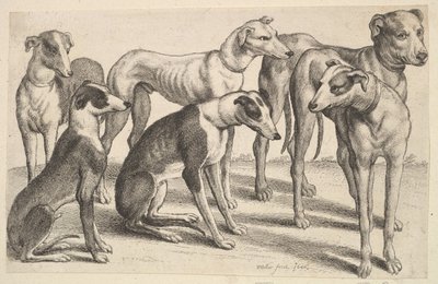 Seis sabuesos de Wenceslaus Hollar