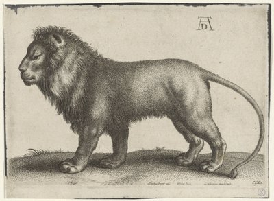 león de pie de Wenceslaus Hollar