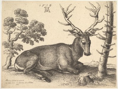 Ciervo acostado a la derecha, 1649 de Wenceslaus Hollar