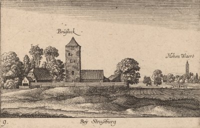 Estrasburgo de Wenceslaus Hollar