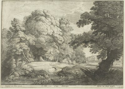 El puente sobre la cascada de Wenceslaus Hollar