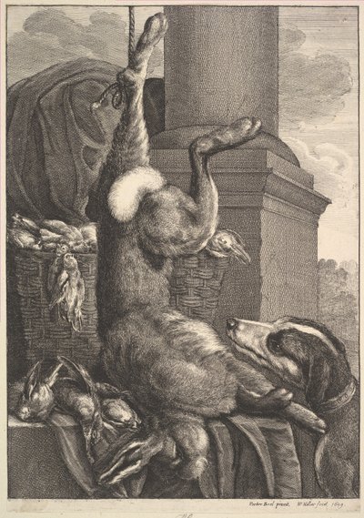 La liebre muerta, 1649 de Wenceslaus Hollar