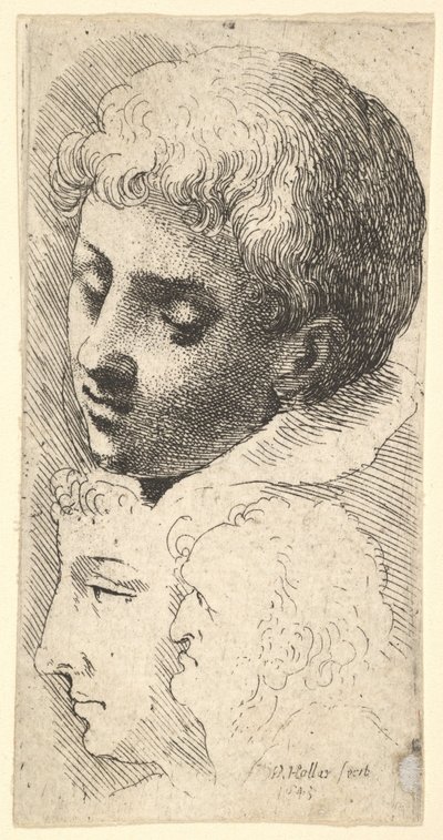 Tres cabezas de Wenceslaus Hollar