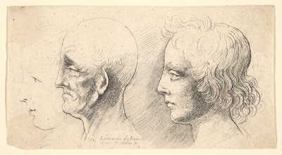 Tres Cabezas de Perfil, una solo en Contorno de Wenceslaus Hollar
