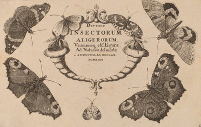 Página de título de Wenceslaus Hollar