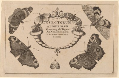 Página del título de Wenceslaus Hollar