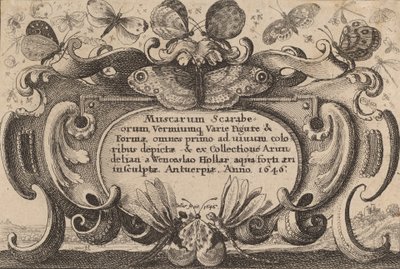 Página de título, 1646 de Wenceslaus Hollar