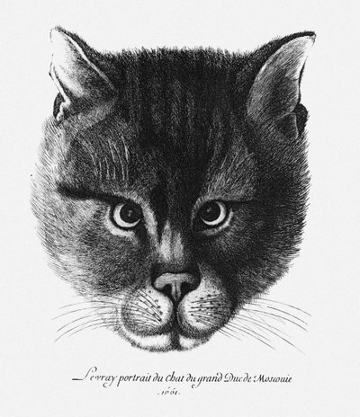 Imagen verdadera del gato del Zar Alexis I Mikhailovich de Rusia de Wenceslaus Hollar