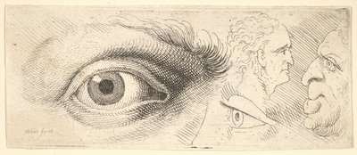 Dos ojos y dos cabezas de Wenceslaus Hollar