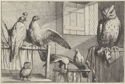 Halcones y búhos en un granero
Diversae avium species (título de la serie)
Varias aves (título de la serie) de Wenceslaus Hollar