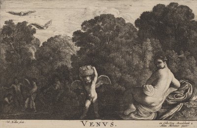 Venus de Wenceslaus Hollar