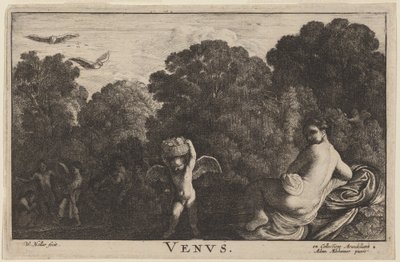 Venus de Wenceslaus Hollar