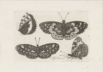 Vier Vlinders Insectos (título de la serie) Moscas escarabajo (título de la serie) de Wenceslaus Hollar