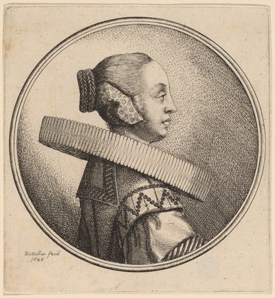 Mujer con gorguera de perfil de Wenceslaus Hollar