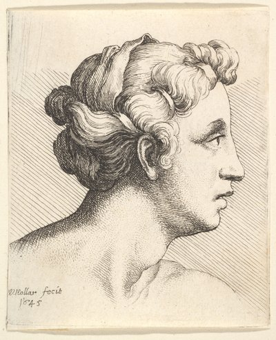 Mujer con un mechón de cabello atado en perfil hacia la derecha de Wenceslaus Hollar