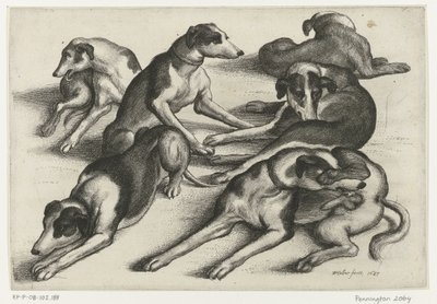 Seis perros de caza mentirosos Caza, perros de caza y caza (título de la serie) de Wenceslaus Hollar