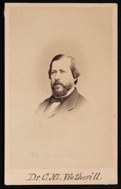 Retrato del Dr. Charles Mayer Wetherill de Wenderoth and Taylor