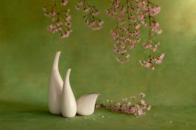  de Wendy Xu