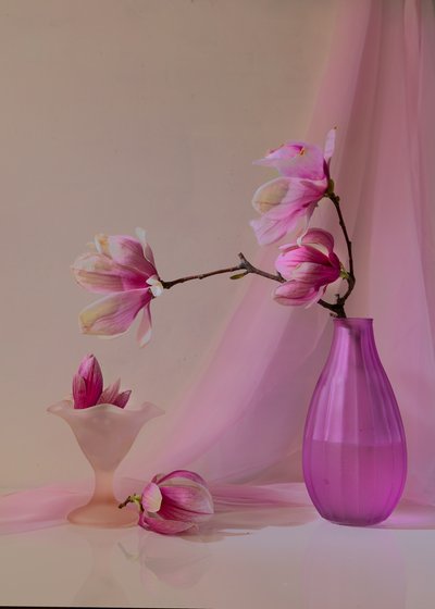  de Wendy Xu