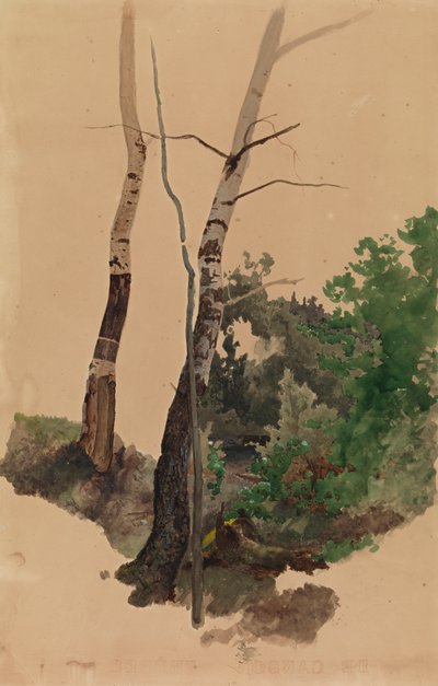 Dos troncos de abedul desnudos y arbustos de Werner Holmberg