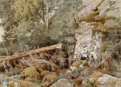 Roca musgosa en el bosque de Werner Holmberg