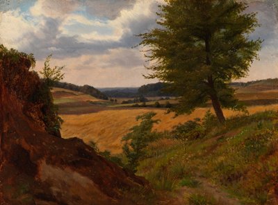 Árbol en paisaje de campos, estudio de Werner Holmberg