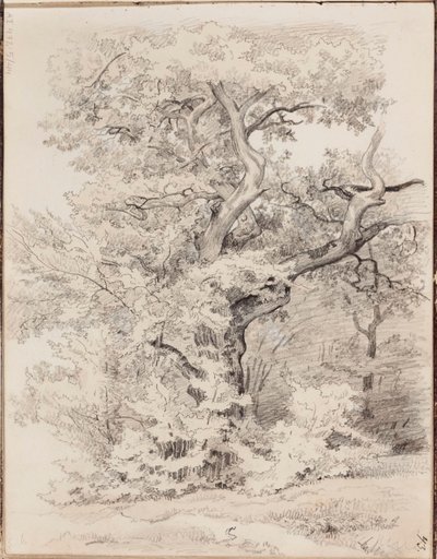  de Werner Holmberg