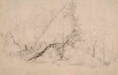  de Werner Holmberg