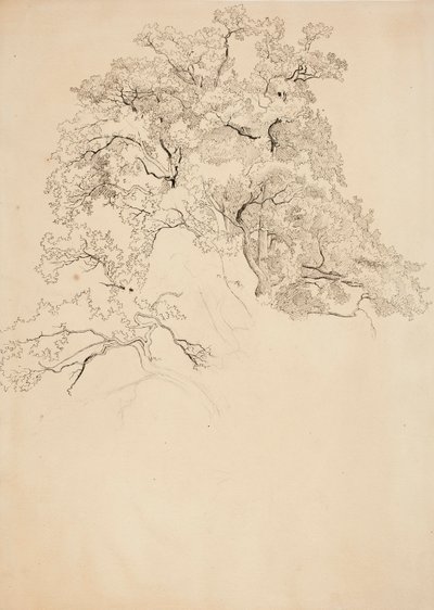  de Werner Holmberg