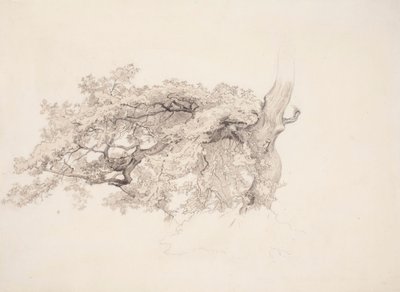  de Werner Holmberg