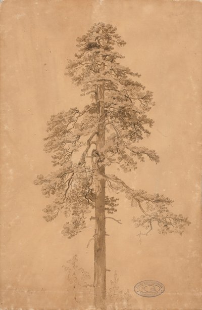  de Werner Holmberg
