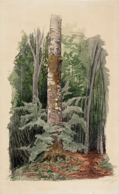  de Werner Holmberg
